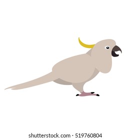 Isolated cute parrot on a white background, Vector illustration