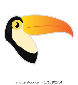 Isolated cute pelican cartoon. Zoo cartoon - Vector