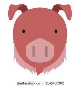 Isolated cute pig avatar