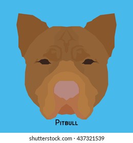 Isolated cute pitbull on a blue background