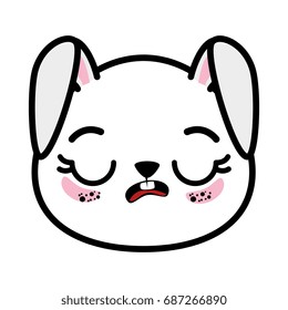 isolated cute rabbit face