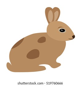 Isolated cute rabbit on a white background, Vector illustration