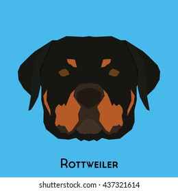 Isolated cute Rottweiler on a blue background