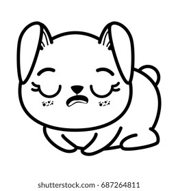 isolated cute sitting rabbit