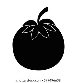 isolated cute tomato