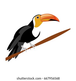 isolated cute toucan