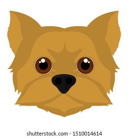 Isolated cute yorkshire terrier cartoon. Dog breeds - Vector