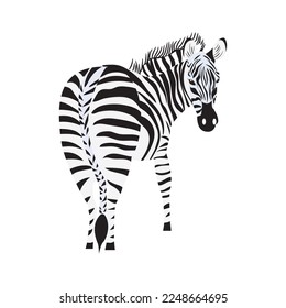 Isolated cute zebra colored sketch Vector
