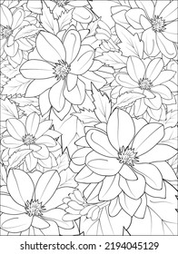 isolated dahlia flower outline, vector illustration natural, flowers, petal, botanic pencil, sketch, black and white engraved ink art coloring page for adult