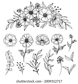 isolated daisy line art floral clipart