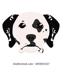 Isolated dalmatian avatar