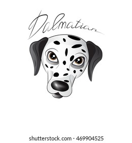 Isolated dalmatian dog's head with a header
