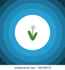 Isolated Dandelion Flat Icon. Floral Vector Element 