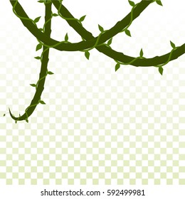 isolated dangling creepers. on a transparent background. vector illustration.