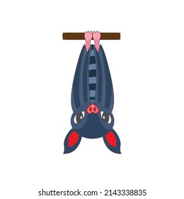 Isolated dark bat animated animals jungle vector illustration