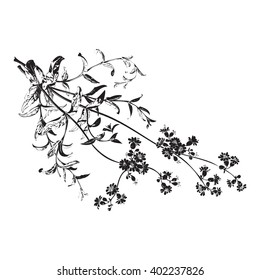 Isolated decoration meadow floral flower white spring petal herbal brown organic leaf field vector tender botanical symbol decor blossom bloom element drawing black stroke illustration detailed twig