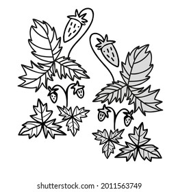 Isolated decorative black and white vector design illustration set of silhouettes of strawberries and leaves. The design is perfect for decorations, stickers, logos, cards.