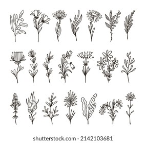 Isolated decorative floral branches. Wildflower twig hand drawn, herb and leaf. Linear organic flowers design elements, art details of wreath and laurel neoteric vector set