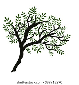 Isolated decorative spring vector tree