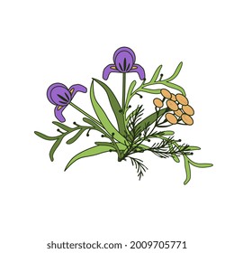 Isolated decorative vector floral bunch