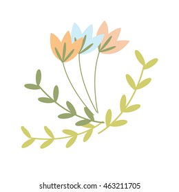 isolated delicate flowers on white background
