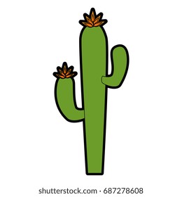 isolated desert cactus