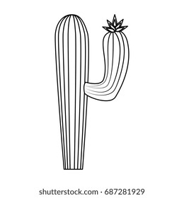 isolated desert cactus