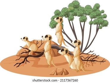 Isolated desert forest with meerkat group illustration