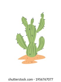 Isolated desert nature cactus plant