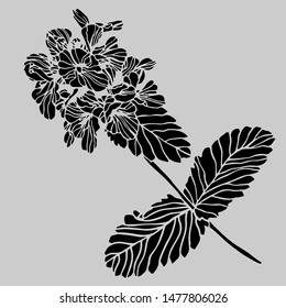 Isolated design of decorative delphinium flowers in black and white style on a grey background. The design is perfect for clothes and decorations design, stickers, tattoos.