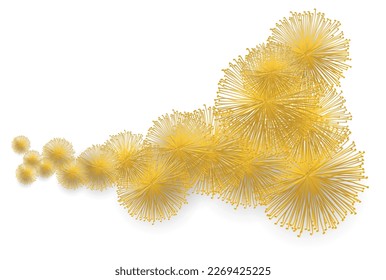 Isolated design of yellow mimosa flower heads with different sizes in gradient effect.