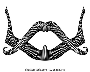 Isolated detailed beard image. Vector illustration design