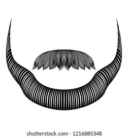 Isolated detailed beard image. Vector illustration design