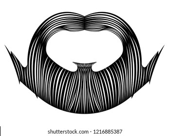 Isolated detailed beard image. Vector illustration design