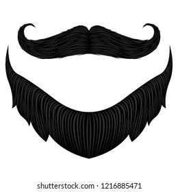 Isolated detailed beard image. Vector illustration design