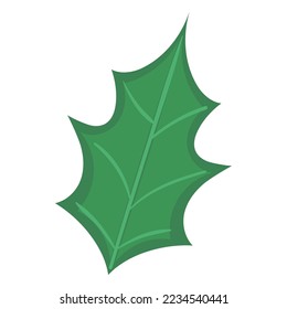 Isolación de la hoja holly de color detallado Vector ilustración