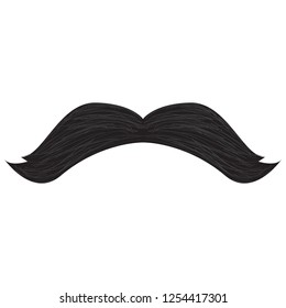 Isolated detailed mustache. Hipster style. Vector illustration design