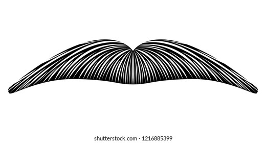 Isolated detailed mustache image. Vector illustration design