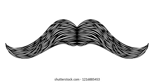 Isolated detailed mustache image. Vector illustration design