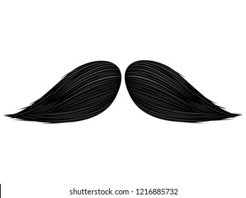 Isolated detailed mustache image. Vector illustration design