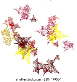 Isolated detailed realistic leaf from tree or plant. vector eps10 illustration. hand-drawn.