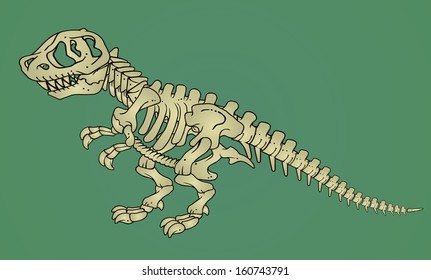 Isolated dinosaur skeleton bones, vector illustration