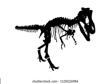 isolated dinosaur skeleton fossil, vector illustration on white background