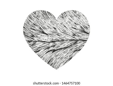 Isolated distress grunge heart with animal fur texture. Element for greeting card, Valentine s Day, wedding. Creative concept. Vector illustration