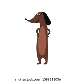 Isolated dog breed silhouettes set with names of breeds inside on white baclground. Vector illustration