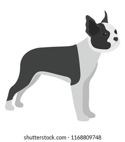 
Isolated dog character icon

