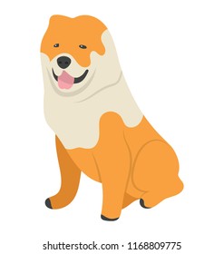 
Isolated dog character icon
