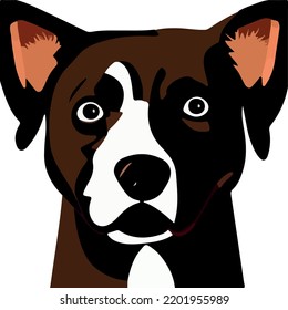 Isolated dog face on white background 