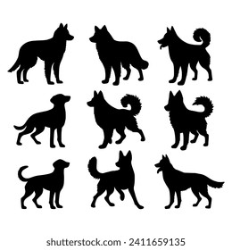 Isolated dogs on the white background. Animals silhouettes. Vector EPS 10.	