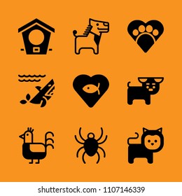 isolated, domestic, fur and african icon set. Vector illustration for web and design.